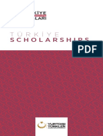 Turkish Government Scholarship