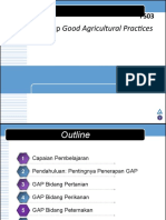 GAP Prinsip dan Penerapannya dalam Bidang Pertanian, Perikanan dan Peternakan