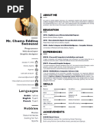 Chems Eddine Senoussi CV