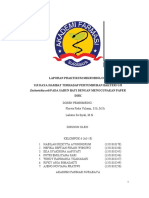 LAPORAN Blog MIKROBIOLOGI - Daya Hambat