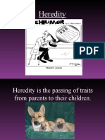 HeredityPowerPoint-1.ppt