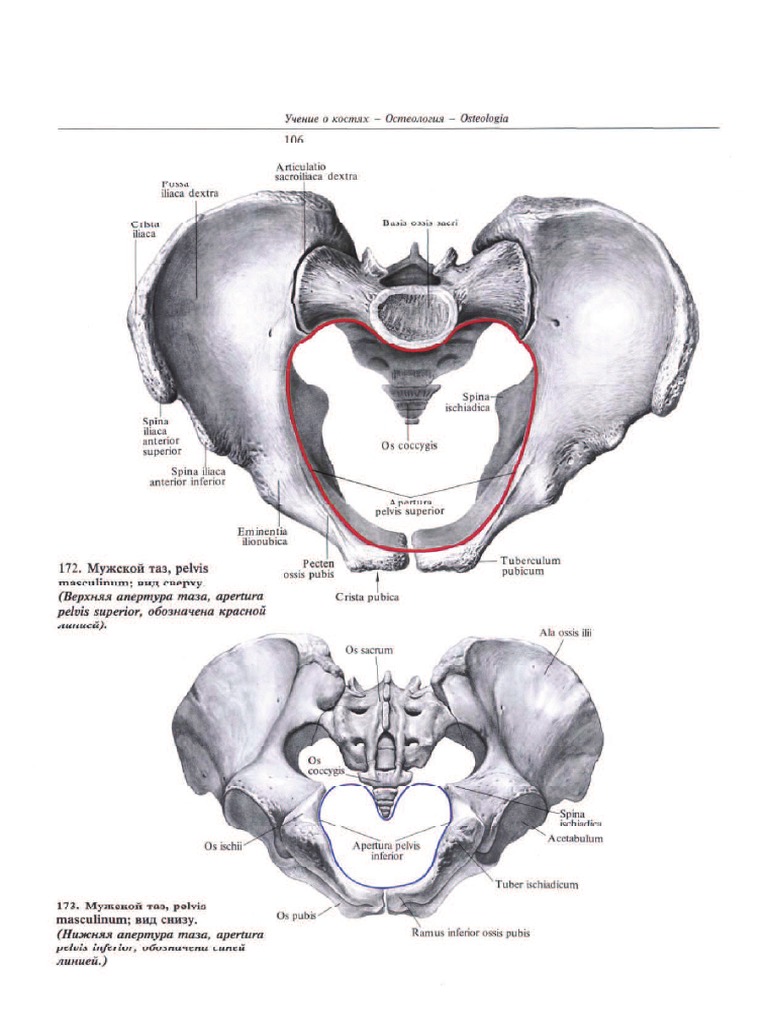 articulatio sacroiliaca dextra