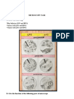 Microscopy Task A. Draw The Following: Hay Infusion (LPO and HPO)