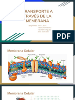 Transporte Membrana Celular PDF
