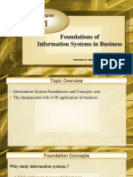 Foundation of IS in Business PDF