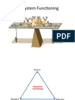 09. Ecosystem Functioning.pptx