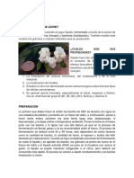 Guia Kefir de Leche PDF