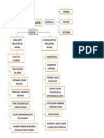 Mapa Conceptual Expresion Oral y Escrita Unidad 1