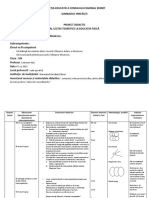 Proiect Didactic Edfiyt