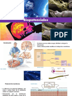 Biopotenciales 2020 PDF