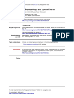 Handout I - Pathophysiology and Types of Burns PDF