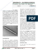 4 Virus PDF