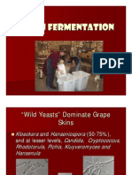 Begin Fermentation