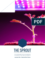 Libro The Sprout - Español