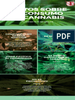5 Mitos Sobre El Consumo de Cannabis