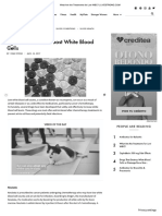 Treatments For Low WBC PDF