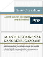Genul Clostridium