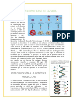 El ADN Como Base de La Vida