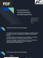 As estruturas e comportamentos sociodemográficos (1).pptx