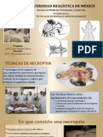 Tecnicas de Necropsias-Itzel González Muñoz 