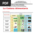 Guia 3. 1 La Cadena Alimentaria