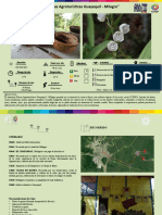 Circuito de Fincas Agroturisticas Guayaquil - Milagro