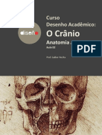 AULA02T04-Crânio-Galber Rocha - 2019