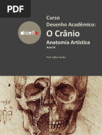 AULA03T04-Crânio-Galber Rocha- 2019