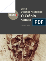 AULA05-Crânio-Galber Rocha- 2019.04