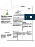 docdownloader.com-pdf-historia-natural-de-la-enfermedad-cancer-cervicouterinodocx-dd_bc1f081f155618124338b900ff08df56.pdf