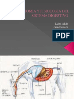 Anatomia y Fisiologia Del Sistema Digestivo