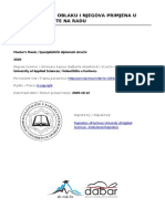 Matijasipus-Zavrsni Rad PDF