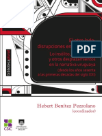 Benitez Pezzolano El Otro Lado Disrupciones en La Mimesis Fhce