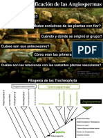 Clase 10 Magnoliidae (2013)