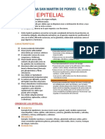 TEJIDO EPITELIAL TEMA 2  CTS.pdf