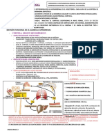 ENDOCRINO 2