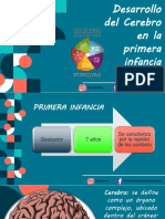 Desarrollo Del Cerebro en La Primera Infancia PDF