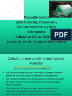 Procedimientos para Colecta y Preservacion de Insectos