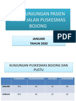 Kunjungan Januari 2020