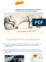 Reproduccion.ppt