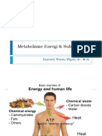 Metabolisme Energi & Regulasi Suhu Tubuh