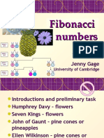Fibonacci Feb10