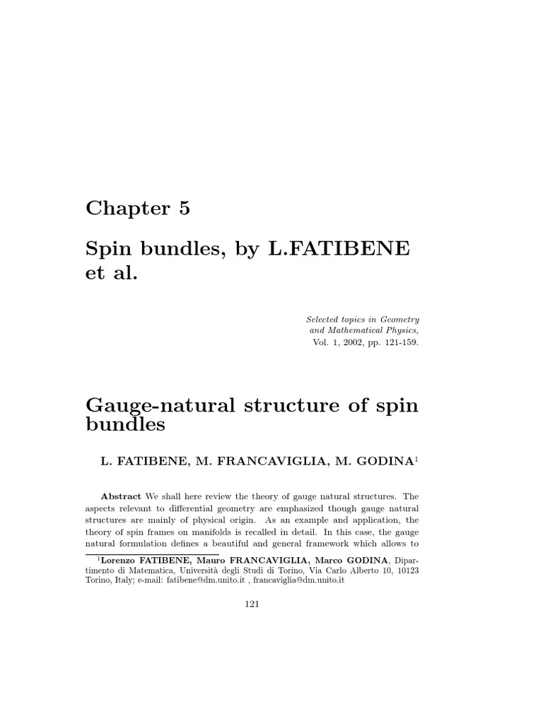 Gauge Natural Structures in Spin Bundles | PDF | Gauge Theory ...