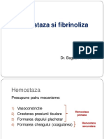 Hemostaza.pdf