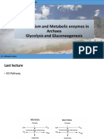 Metabolism and Metabolic Enzymes in Archaea Glycolysis and Gluconeogenesis