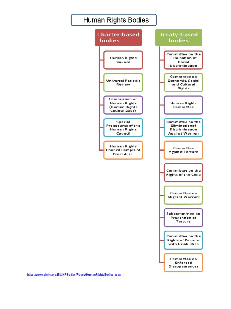 Human Rights Bodies: Charter-Based Bodies Treaty-Based Bodies | PDF ...