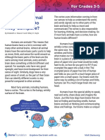 Fact Sheet 3 5 Human Animal Brains Compare PDF
