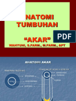 Anatomitumbuhanakar 170427121839 PDF