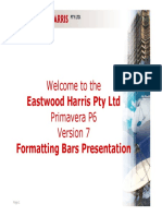 PC$V7 P6 Bars Formatting Presentation PDF
