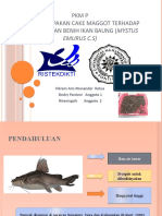 PKM P baru file PPT